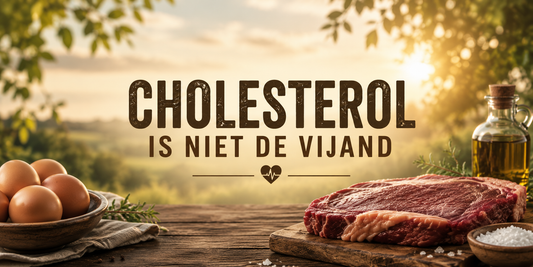 Cholesterol is niet de vijand