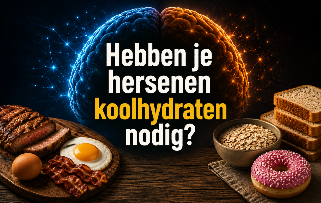 Hebben je hersenen koolhydraten nodig?
